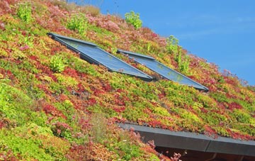 Calanais living roof systems